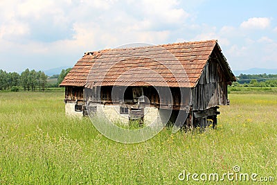 Dilapidated wooden barn in middle of field with tall grass and flowers Stock Photo