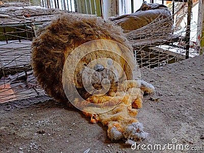 A dilapidated stuffed lion toy. An old torn plush toy in an abandoned kindergarten. An abandoned kindergarten in Chernobyl Stock Photo