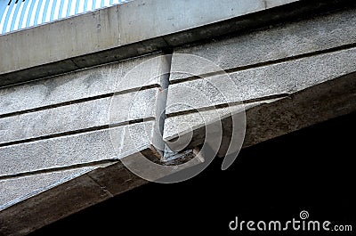 dilatation of bridge is also visible on side concrete walls when Stock Photo