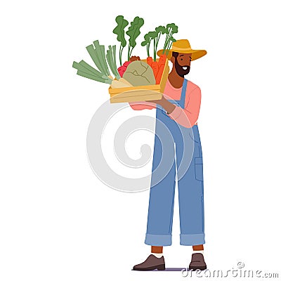 Diligent Farmer Male Character Proudly Cradles A Wooden Crate Brimming With Freshly Harvested, Vibrant Vegetables Vector Illustration