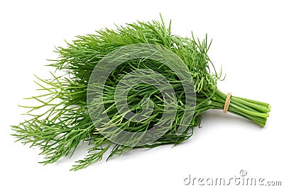 Dill Stock Photo