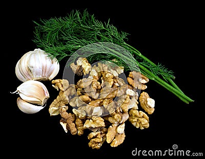 Dill, garlic and wallnuts Stock Photo