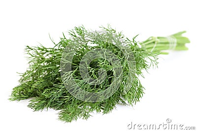 Dill herb Stock Photo