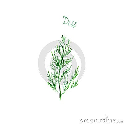 Dill herb spice isolated on white background Cartoon Illustration