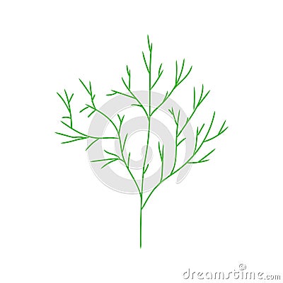 Dill isolated. spicy herb for food. dill branch Vector illustration Vector Illustration