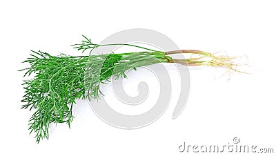 Dill isolated on white background. Stock Photo