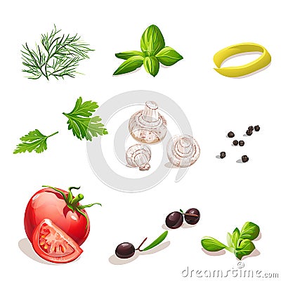 Dill, parsley, tomato, mushrooms, olives, basil, black pepper. Vector Illustration