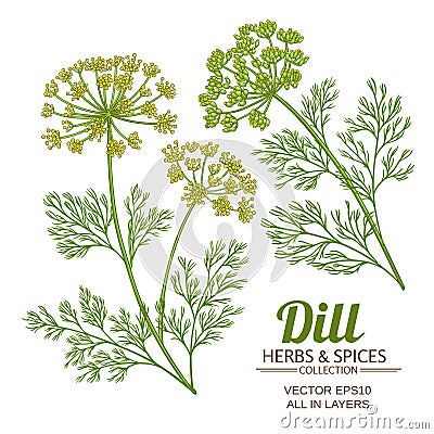 Dill plant vector set Vector Illustration