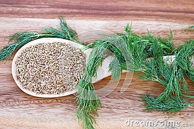 Dill Seed and Weed Stock Photo