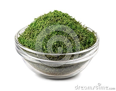 Dill weed Stock Photo