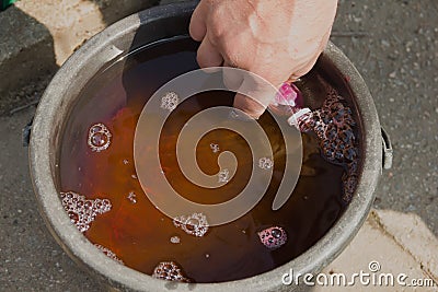 Dilution of pesticides in water. preparation of a working solution of a preparation for treating plants. Country house. Garden. Stock Photo