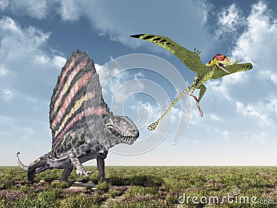 Dimetrodon attacks Peteinosaurus Cartoon Illustration