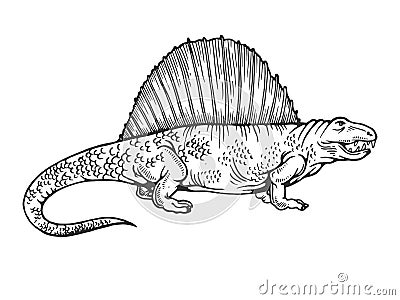 Dimetrodon dinosaur engraving vector illustration Vector Illustration