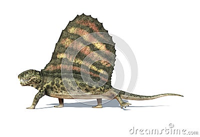 Dimetrodon dinosaur. Viewed from aside. At white background. Stock Photo