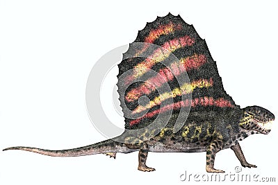 Dimetrodon Permian Reptile Stock Photo