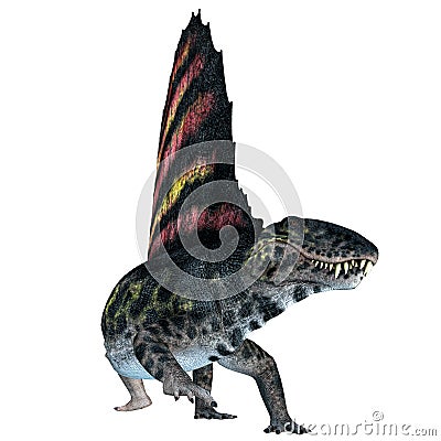 Dimetrodon Reptile on White Stock Photo