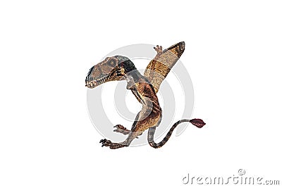 Dimorphodon Dinosaur on white background Stock Photo
