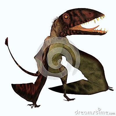 Dimorphodon Pterosaur Stock Photo