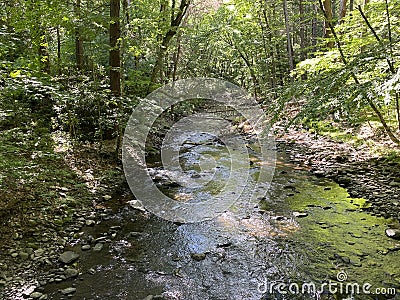 Dingmans Creek Stock Photo