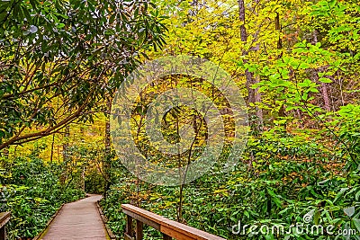 Dingmans Falls Park in the Poconos Mountains , Pennsylvania US. Stock Photo