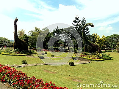 Dino Garden Stock Photo