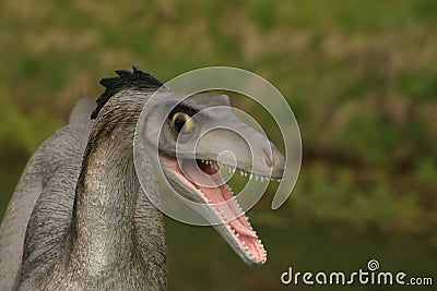 Dinosaur Stock Photo