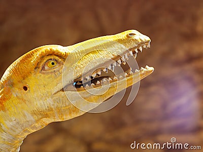 Dinosaur animal reptile figure colorful painted head Stock Photo