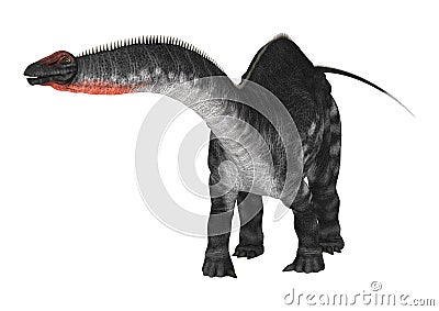Dinosaur Apatosaurus on White Stock Photo