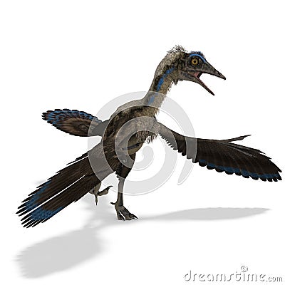 Dinosaur Archaeopteryx Stock Photo