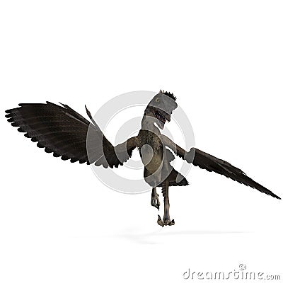 Dinosaur Archaeopteryx Stock Photo