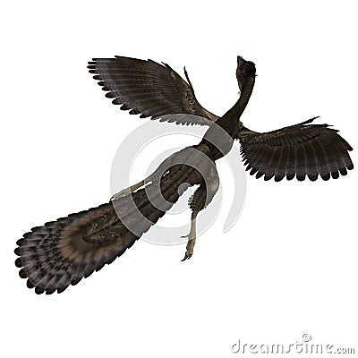 Dinosaur Archaeopteryx Stock Photo