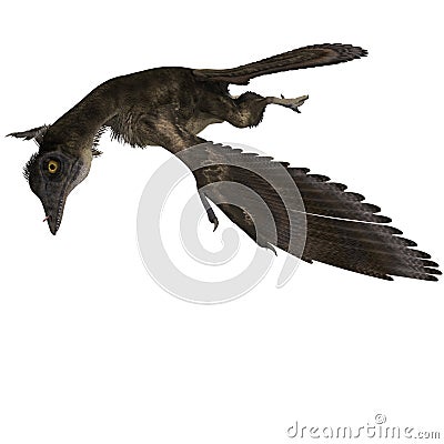 Dinosaur Archaeopteryx Stock Photo