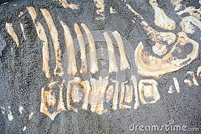 Dinosaur bones remains Stock Photo