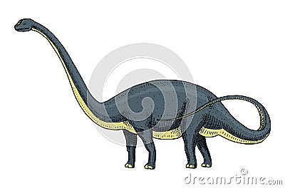 Dinosaur Brachiosaurus or sauropod, Plateosaurus, Diplodocus, Apatosaurus, skeletons, fossils, winged lizard. American Vector Illustration