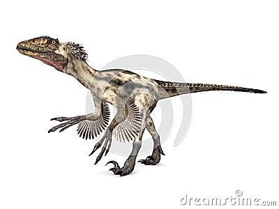 Dinosaur Deinonychus Stock Photo