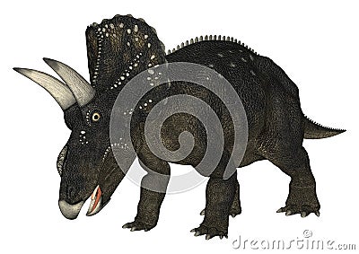 Dinosaur Diceratops Stock Photo