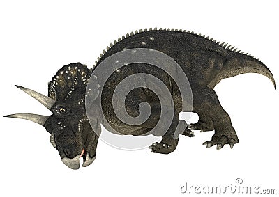 Dinosaur Diceratops Stock Photo