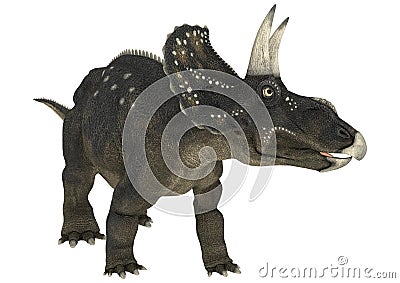 Dinosaur Diceratops Stock Photo