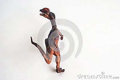 Dinosaur , Dilophosaurus on white background Stock Photo