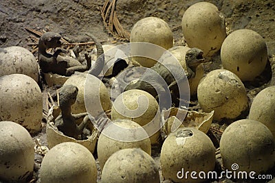 Dinosaur Eggs Hatching Stock Photo