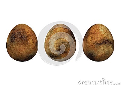 Dinosaur Eggs Stock Photo