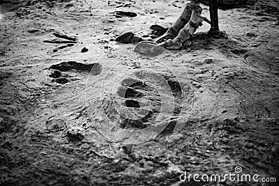 Dinosaur footprint and foot Stock Photo