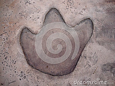 Dinosaur Footprint Stock Photo