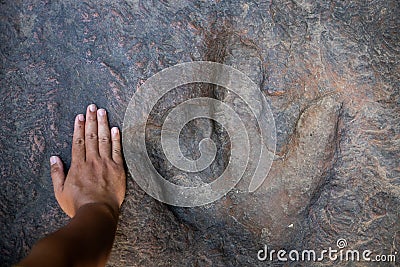 Dinosaur footprints Amphoe Na Khu in Kalasin province, Thailand Stock Photo