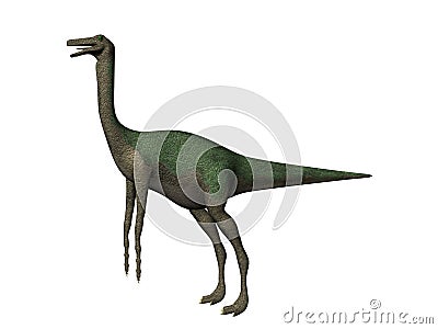 Dinosaur Gallimimus Stock Photo