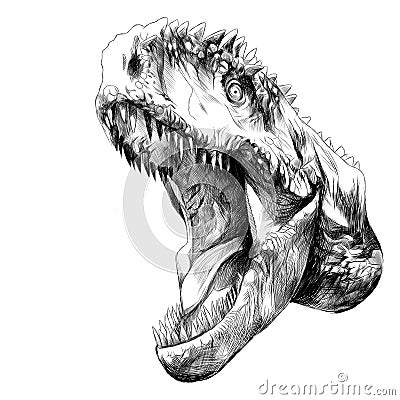 Dinosaur head sketch vector Vector Illustration