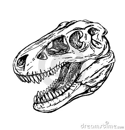 Dinosaur head of turex skull Cartoon Illustration