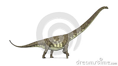 Dinosaur Mamenchisaurus Cartoon Illustration