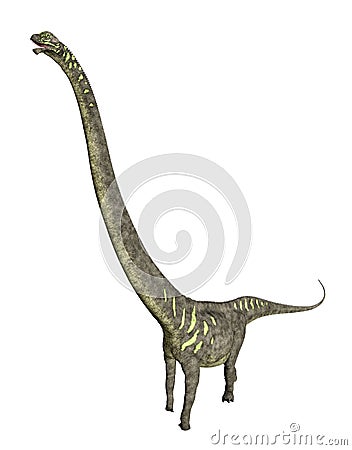 Dinosaur Mamenchisaurus Cartoon Illustration