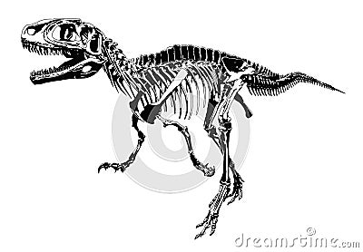 Dinosaur skeleton Vector Illustration